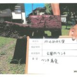 草加支部ウォッチング行動報告〜地域の安全を守る地道な取り組み〜